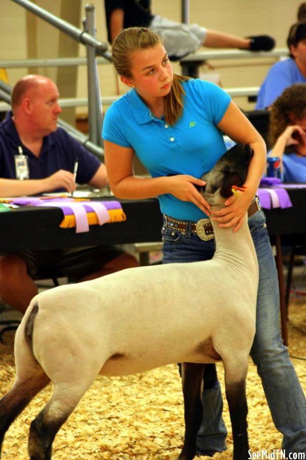 Sheep Barn: Youth Lamb Show