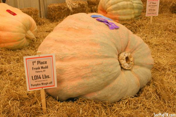 Agriculture: largets pumpkin