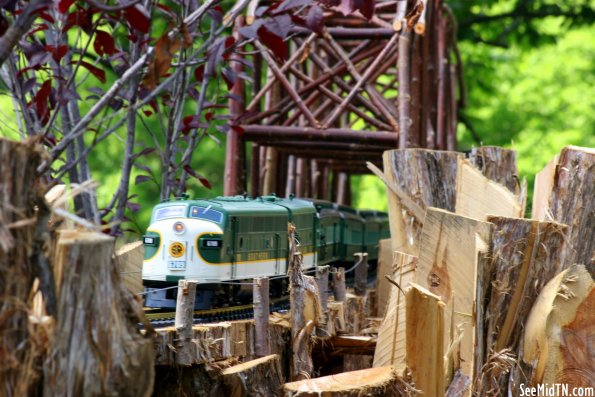 Southern Passenger Train crosses the bridge