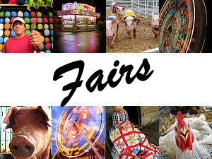 County and state fairs