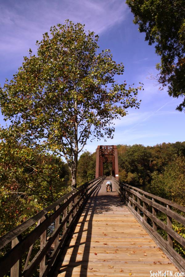Cheatham County Bicentennial Trail Bridge (Ver. 5)
