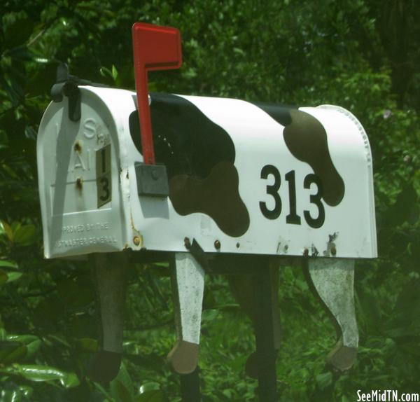 Kingston Springs: Cow mailbox