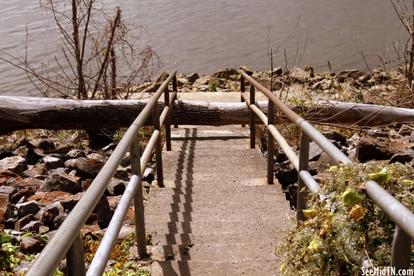 Cheatham Dam - tree blocks the stairs