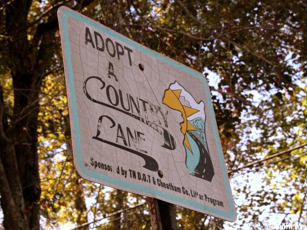 Adopt a Country Lane