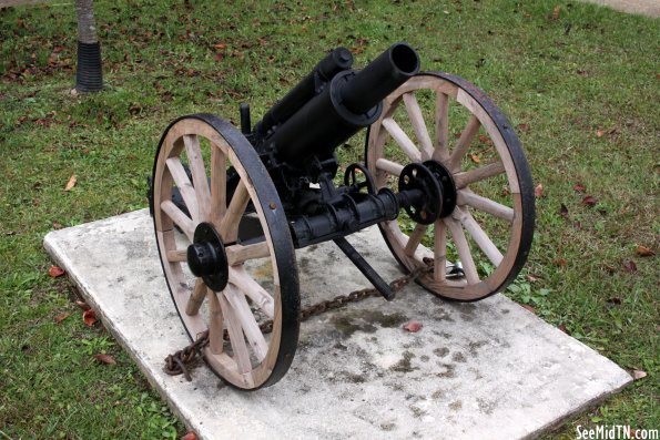 Cannon