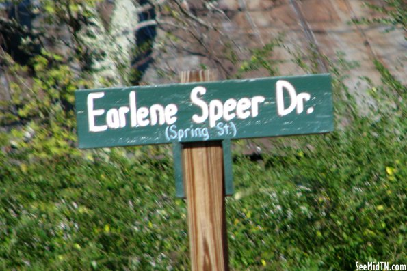 Earlene Speer Dr. in Beersheba Springs