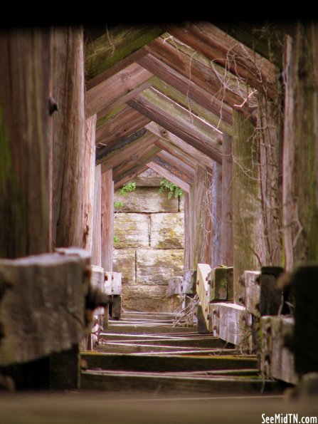 Looking through the trestle