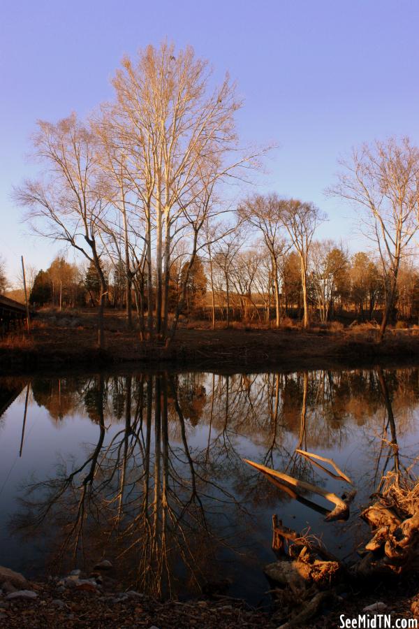 The Still Waters of the Piney River