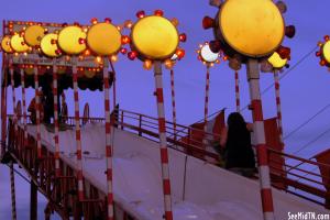 2010 County Fair