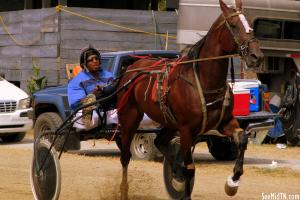 2010 Harness Racing