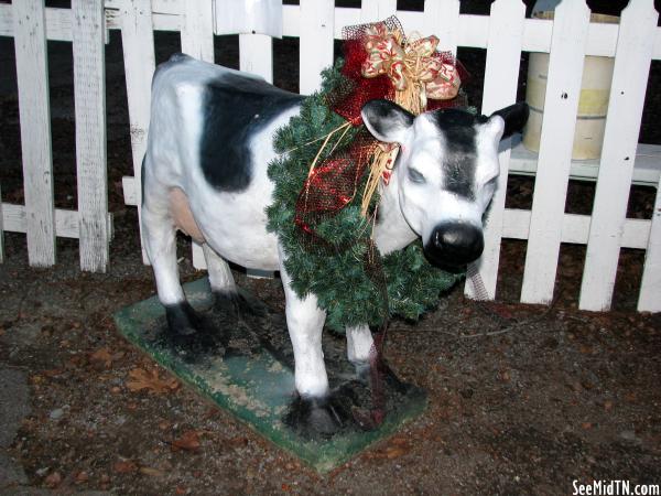 Christmas Cow