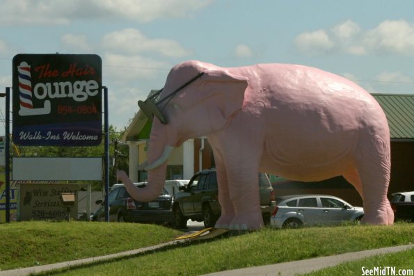 Pink Elephant