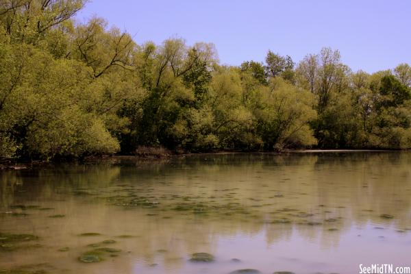 Gunn Lake - Springfield, TN