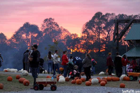 Honeysuckle Hill Pumpkin Patch at Dusk