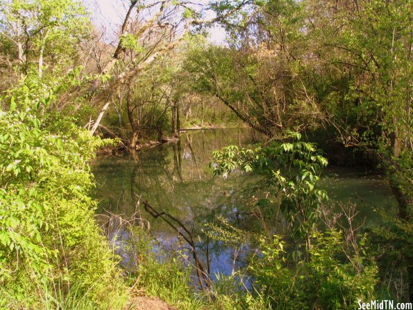 Gregory Mill Dam, Upstream From - Smyrna