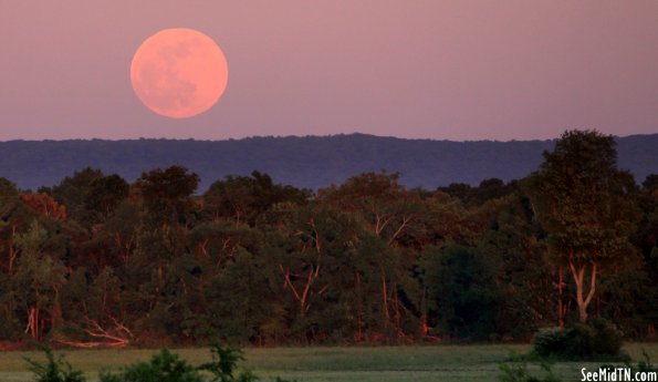 The Full Moon Rises over the Cumberland Plateau
