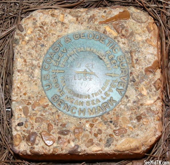 Hamilton Co. Courthouse Geodetic Benchmark