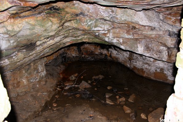 Natural Bridge Spring Room