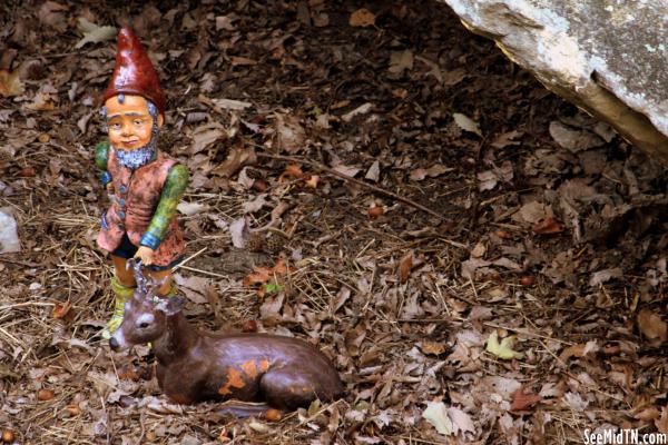 05n: Gnome Valley: with a deer
