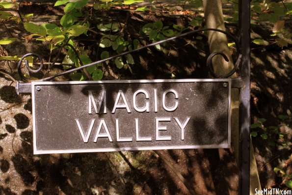 72: Magic Valley