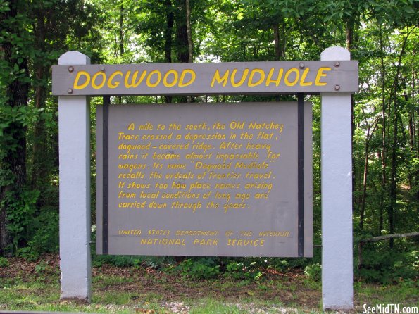 Wayne: Dogwood Mudhole