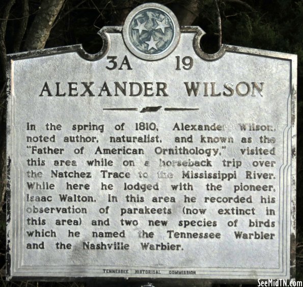 Alexander Wilson