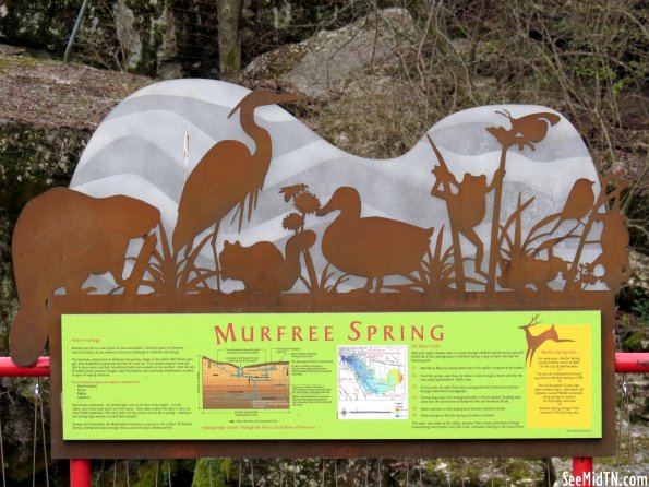 Murfree Spring