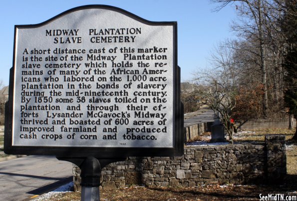 Midway Plantation Stave Cemetery