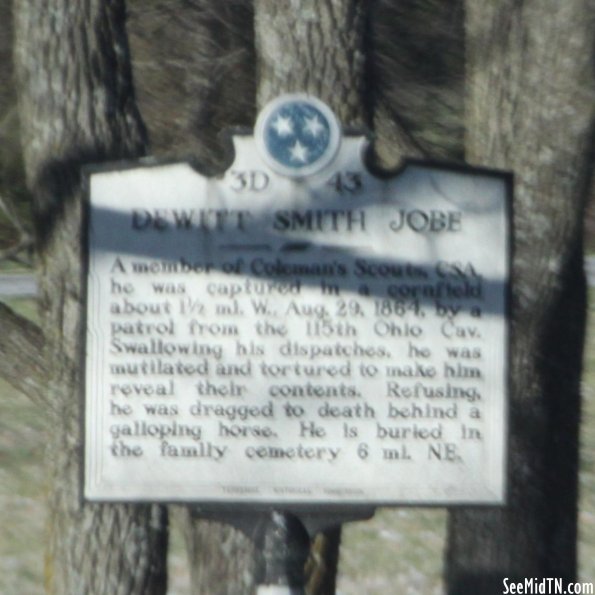 Dewitt Smith Jobe