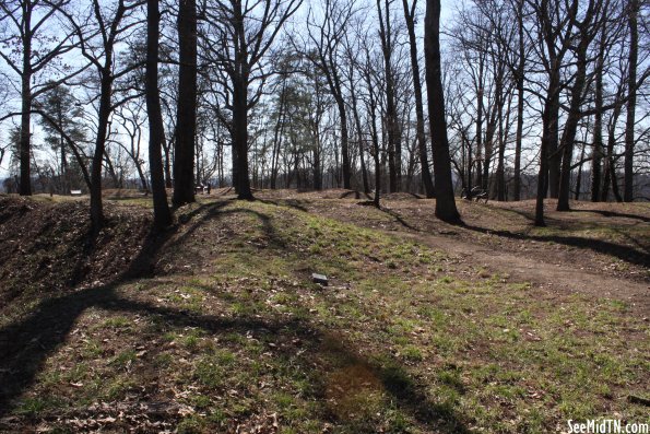 Fort Dickerson Earthworks