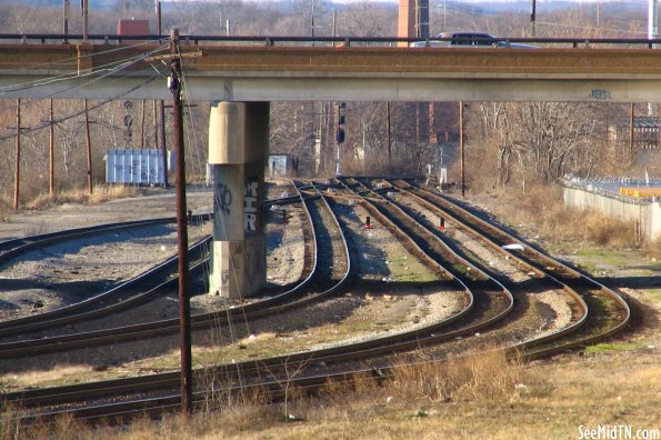 Curvy Tracks of the Gulch