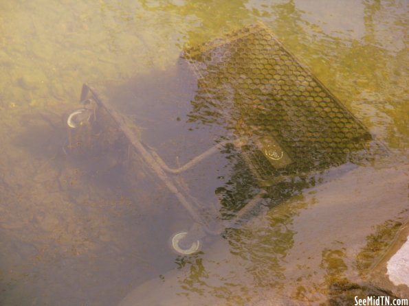 Grocery Cart Underwater