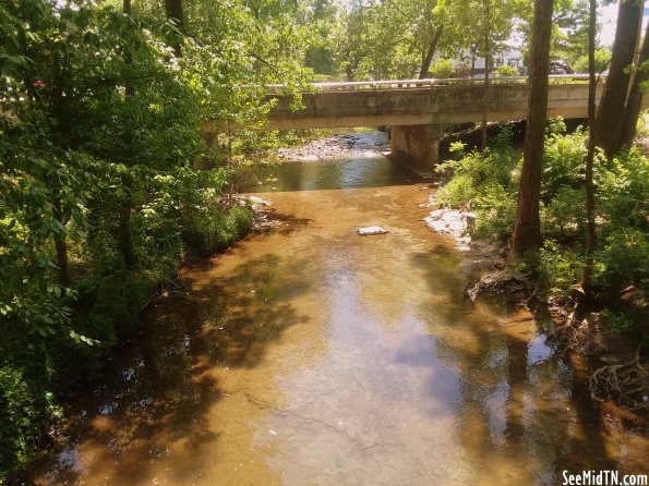 View from Seven Mile Creek Greenway