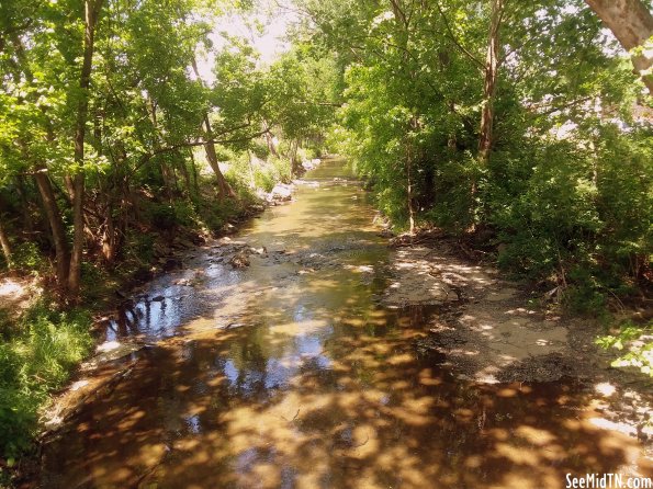 View from Seven Mile Creek Greenway