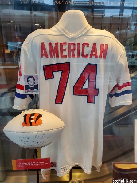 Mike Reid NFL Pro Bowl Jersey