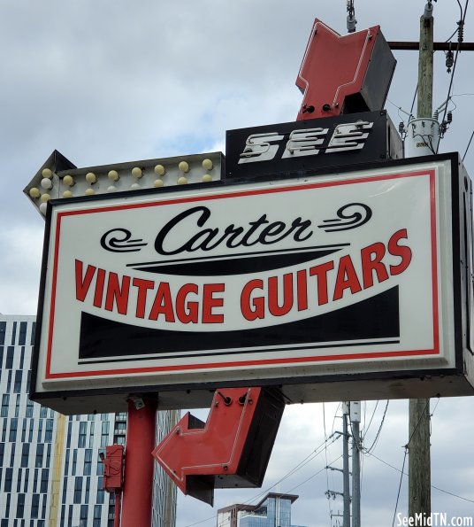 Carter Vintage Guitars