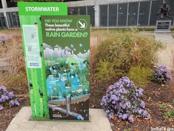 Stormwater Rain Garden