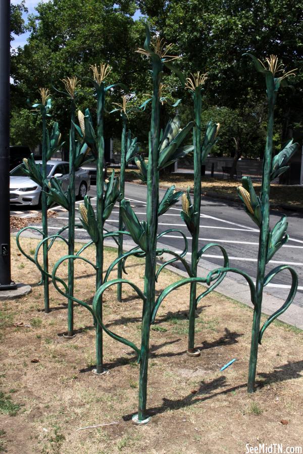 Corn Bike Rack at the Farmers Market