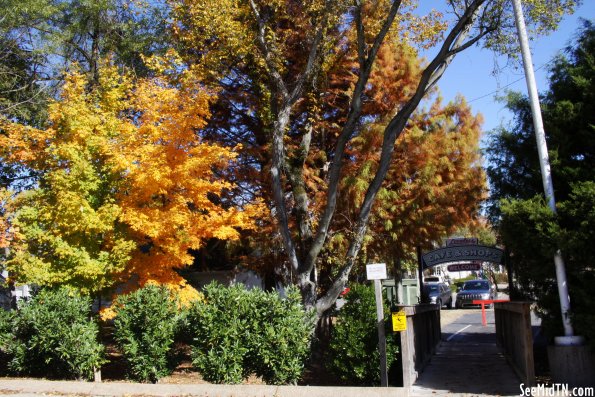 Loveless Cafe grounds with fall leaves