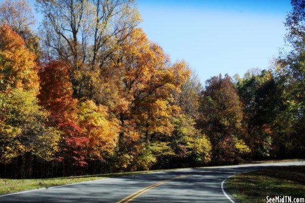 Natchez Trace Parkway with Fall Leaves