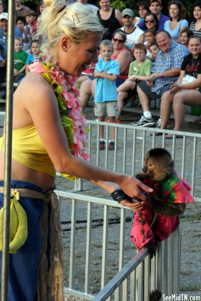 Banana Derby