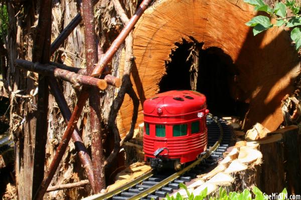 Ladybug Train goes through the tunnel
