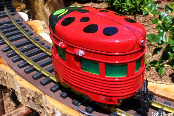 Ladybug Train