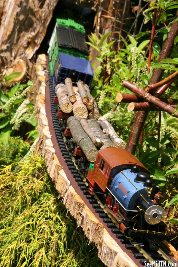 V&amp;T RR lumber train