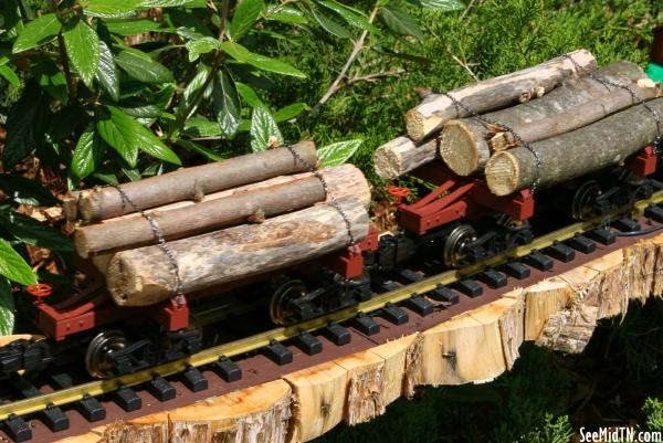 Log train