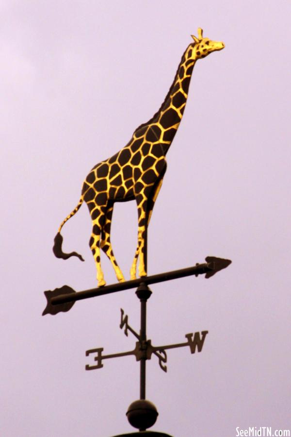 Giraffe weather vane atop the carousel 