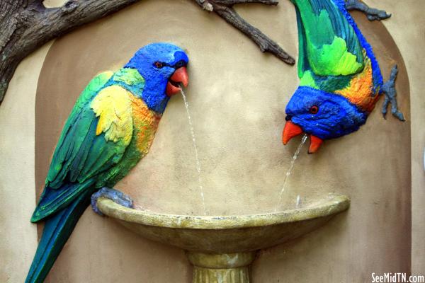 Lorikeet Landing - where to wash your hands