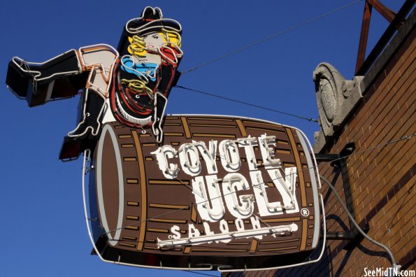 Coyote Ugly neon sign