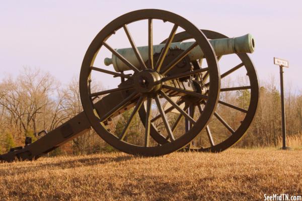 Rhea Field Cannon