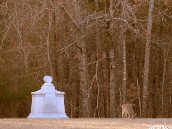 Deer in field with monument